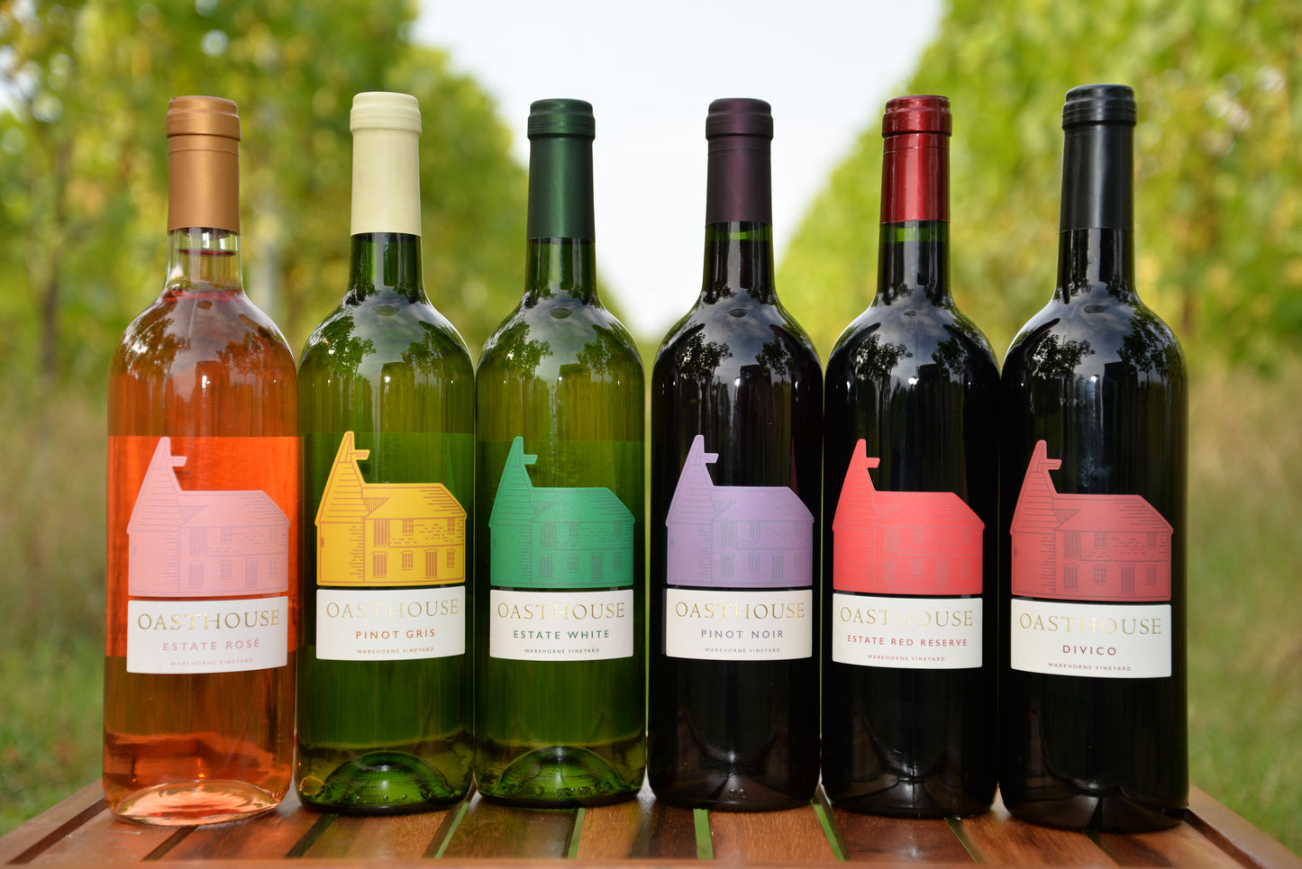 Wine Tasting Experience
