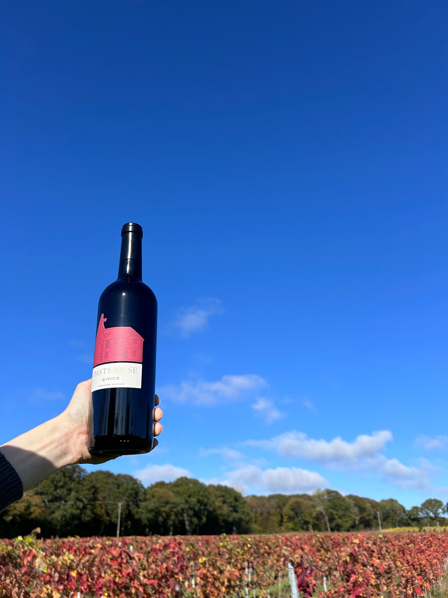 Wine Tasting Experience