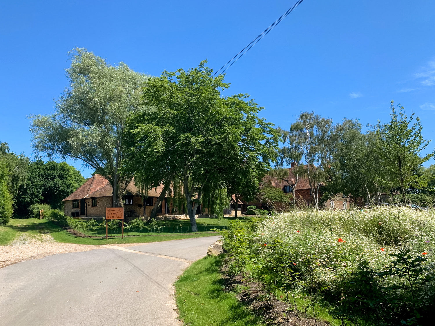Elvey Farm Pluckly