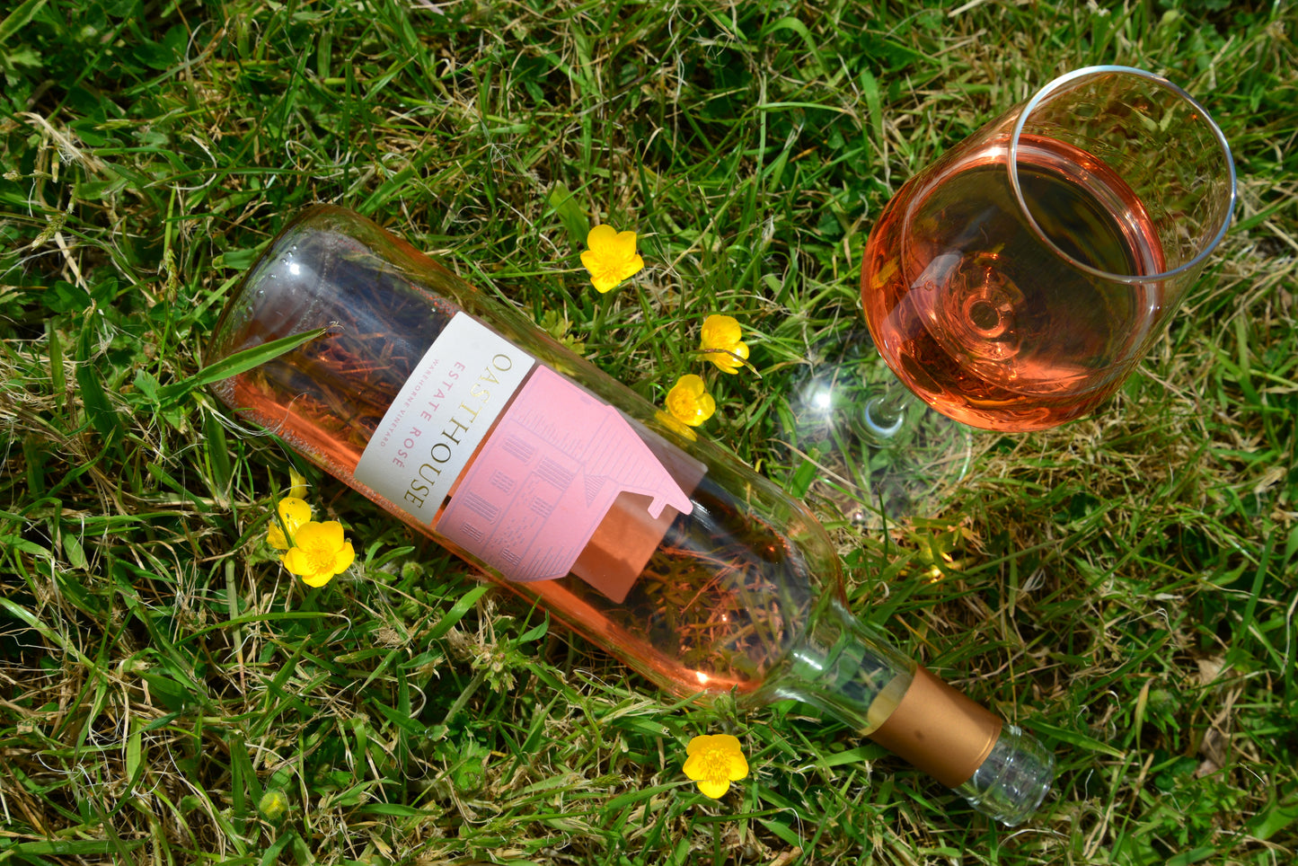Oasthouse Estate Rose with buttercups